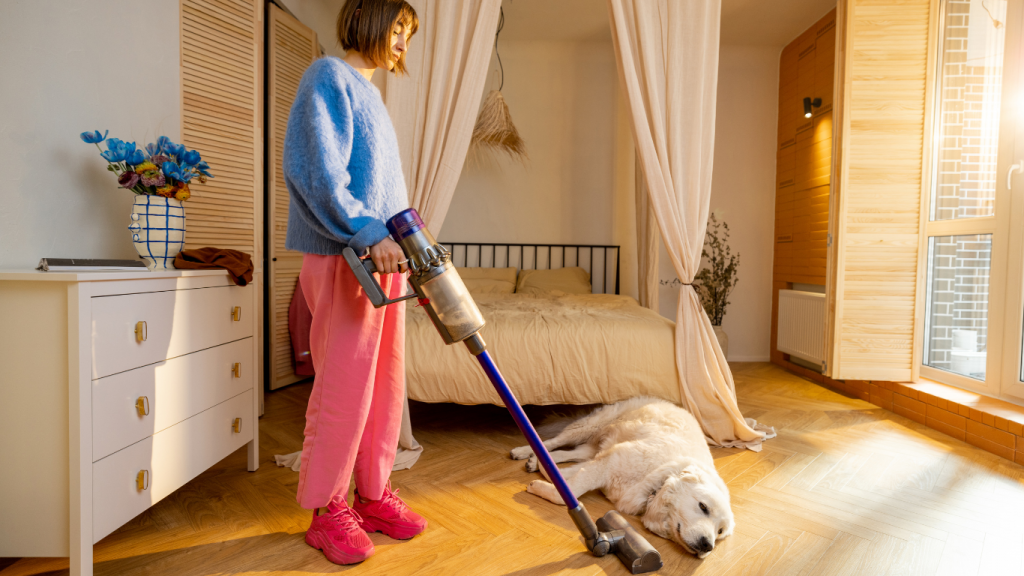 Meilleur aspirateur balai poils d'animaux