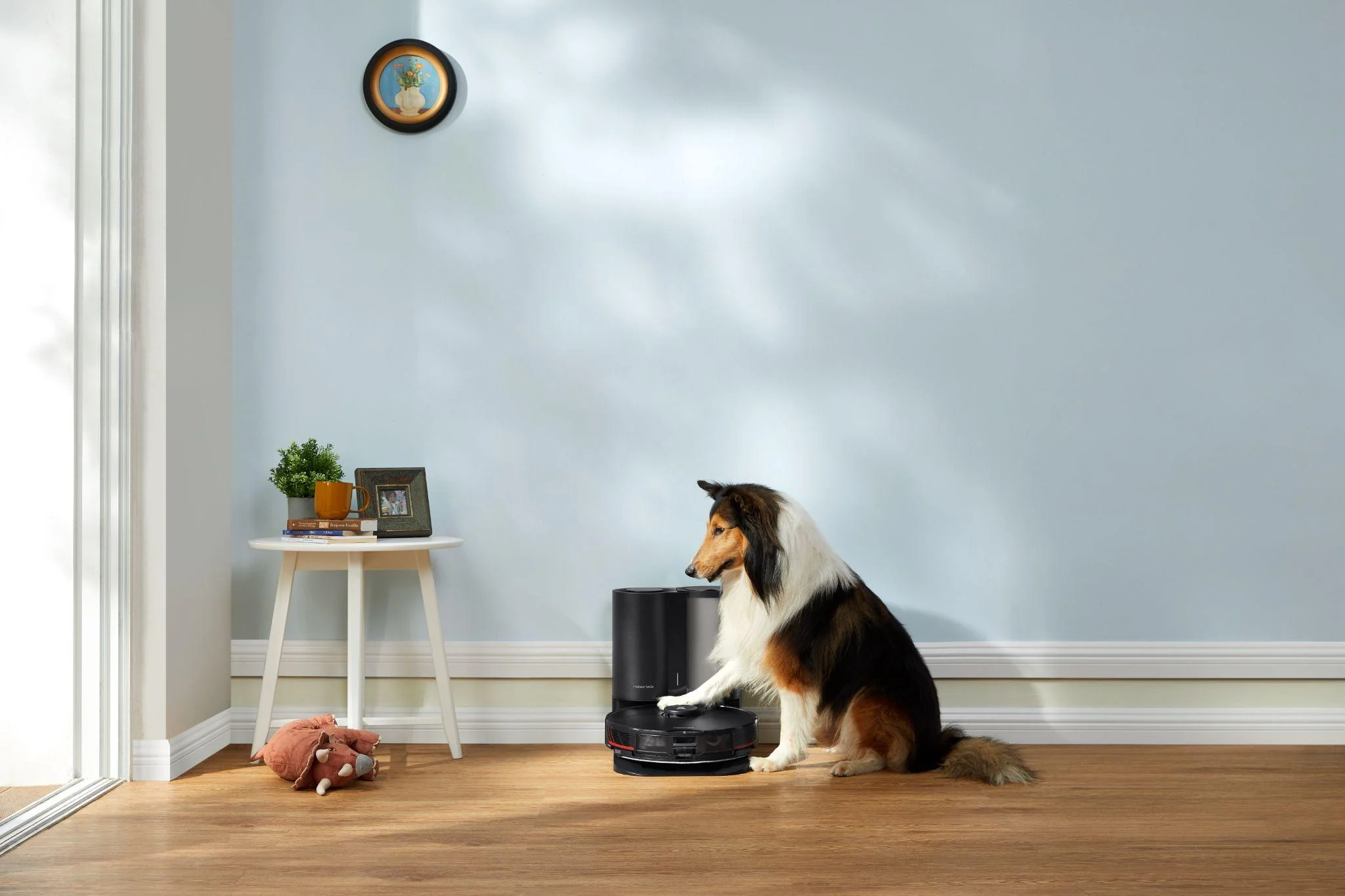 Meilleur aspirateur robot pour Poils d'Animaux