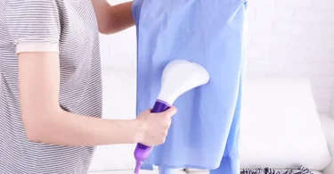Défroisseur vapeur pas cher